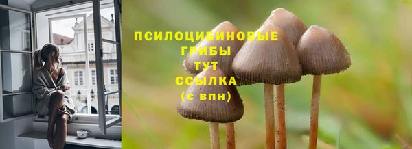 мет Мегион
