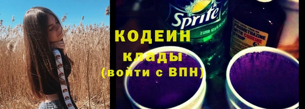 хмурый Магас