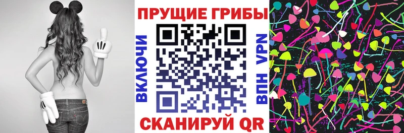OMG ссылка  где купить наркоту  Топки  Псилоцибиновые грибы мицелий 