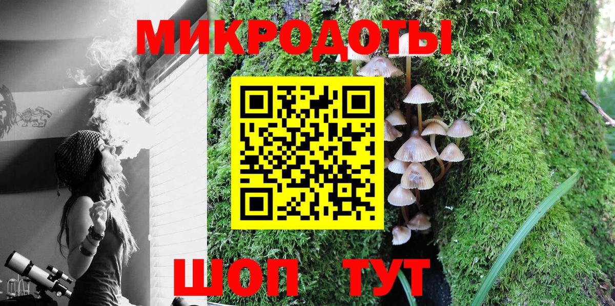 Псилоцибиновые грибы Cubensis Топки