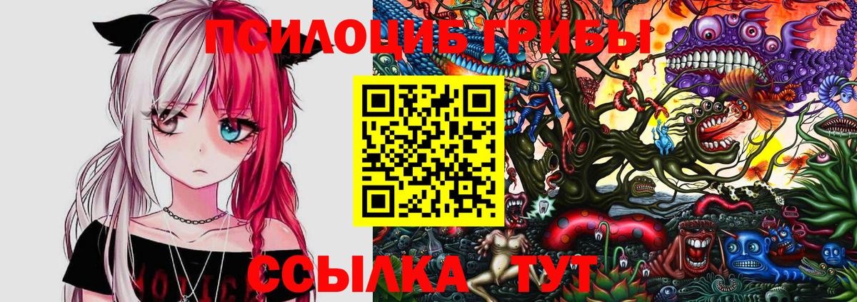 Галлюциногенные грибы мухоморы  где купить наркотик  Топки 