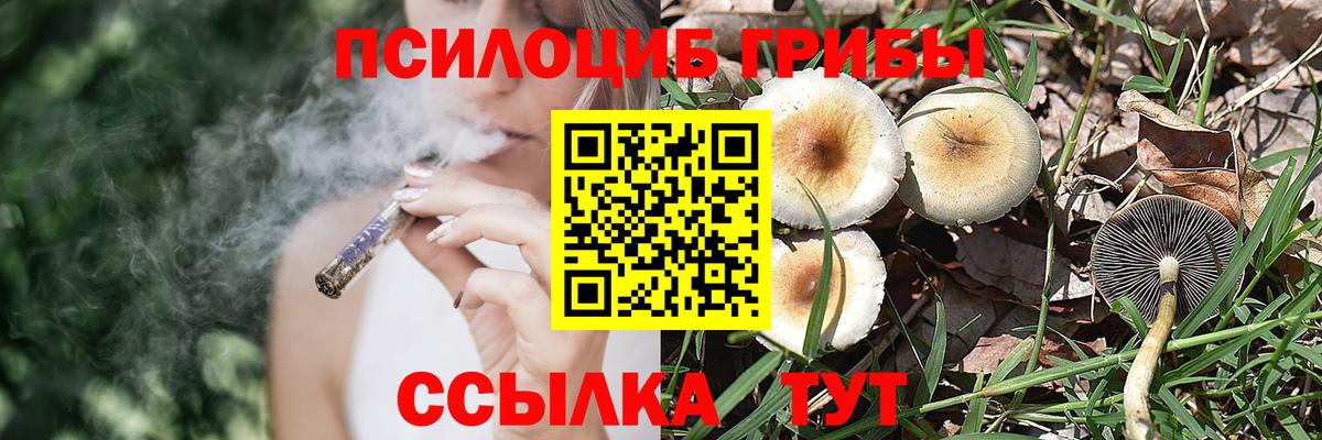 Псилоцибиновые грибы мицелий  Галлюциногенные грибы мухоморы  Топки  Вход с VPN 